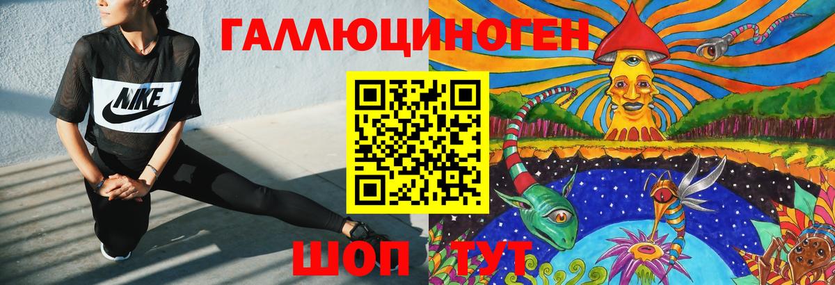 Псилоцибиновые грибы Psilocybe Лабинск